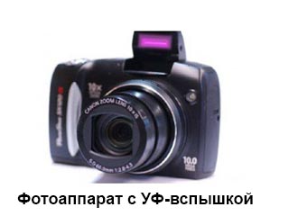 Image Caption