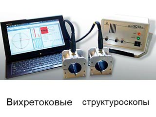 Image Caption